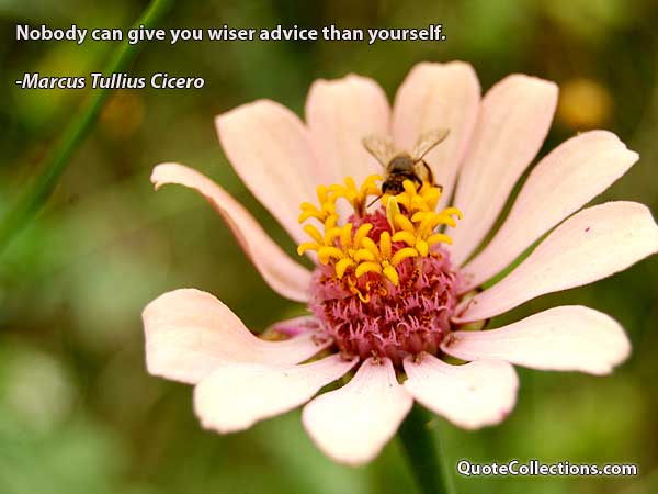 Marcus Tullius Cicero Quotes5